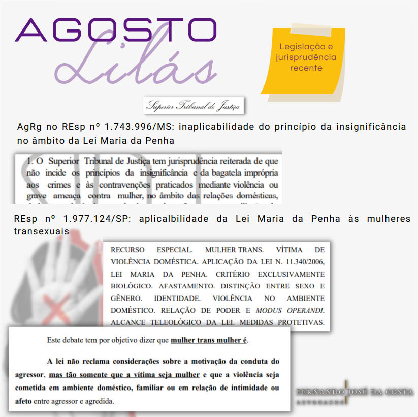 aniversario-lei-maria-da-penha-8.jpg